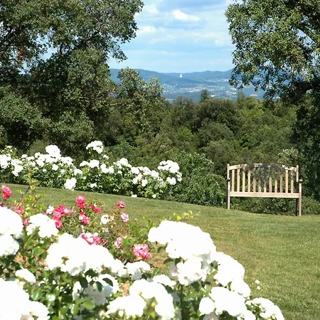 Tenuta Seripa * Sassetta