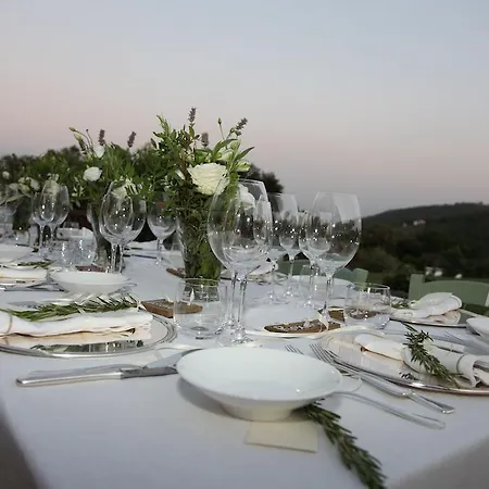 Tenuta Seripa סאסטה
