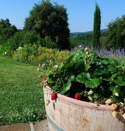 Landhaus Tenuta Seripa Sassetta